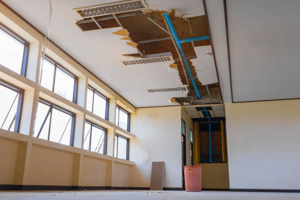 Best Flood restoration services  in Medford, MA