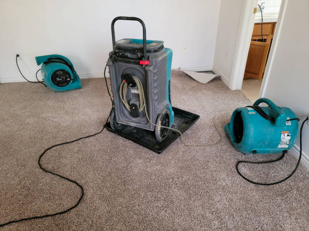 Best Local water damage restoration  in Medford, MA