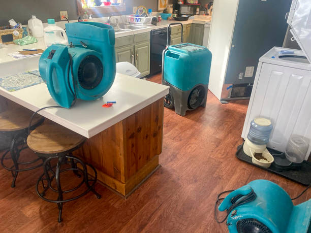 Local water damage restoration in MA