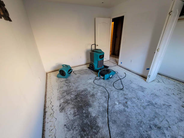 Best Ceiling water damage repair  in Medford, MA