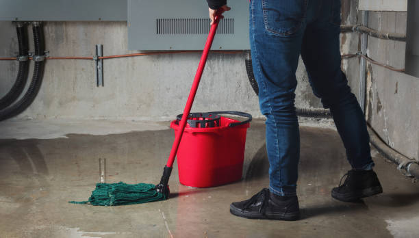 Best Local water damage restoration  in Medford, MA