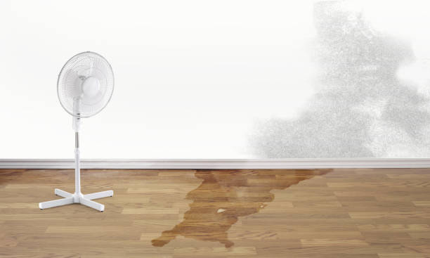 Best Residential water damage restoration  in Medford, MA