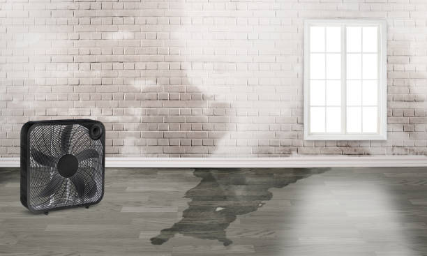 Best Water damage restoration near me  in Medford, MA