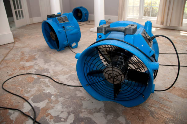Best Commercial water damage restoration  in Medford, MA