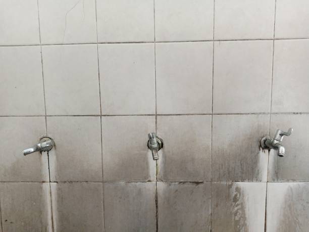 Best Flood damage cleanup  in Medford, MA
