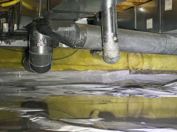 Best Carpet water damage restoration  in Medford, MA