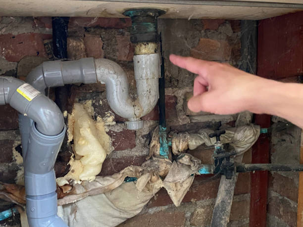 Best Water damage cleanup near me  in Medford, MA