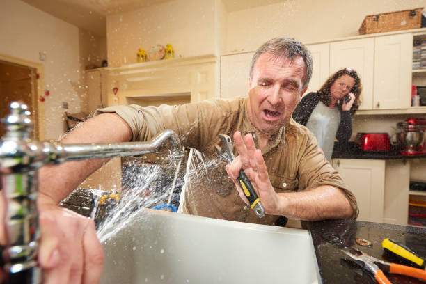 Best Flooded house restoration  in Medford, MA
